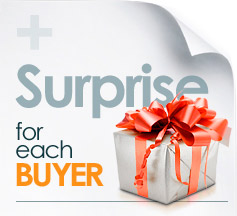 A gift for your purchase